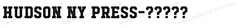 Hudson NY Press字体转换